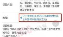 爆料最新项目有哪些内容,前沿科技与创新应用全解析